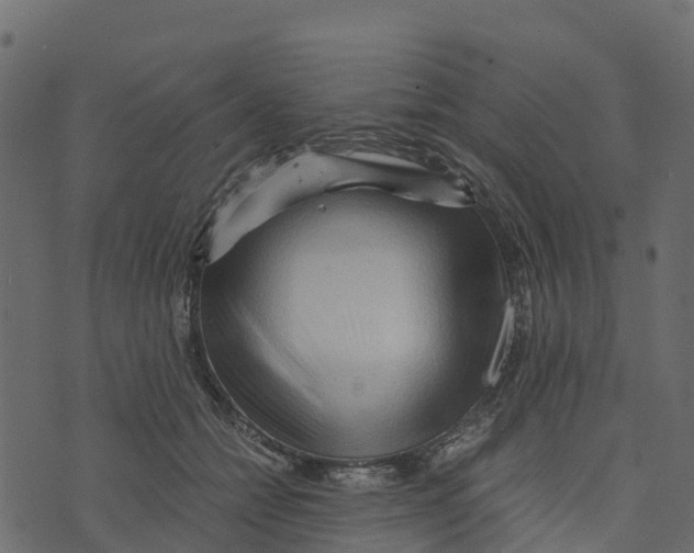 X0000073430558200608251618