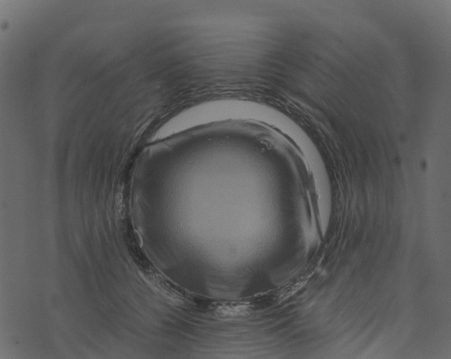X0000073430560200608251618
