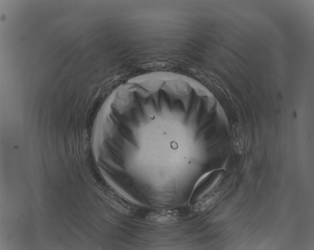 X0000073430563200608251618