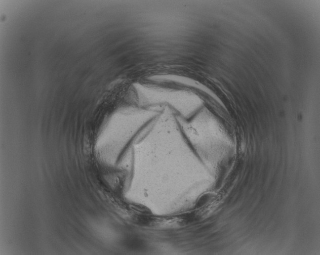 X0000073430569200608251618