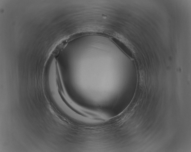X0000073430580200608251617