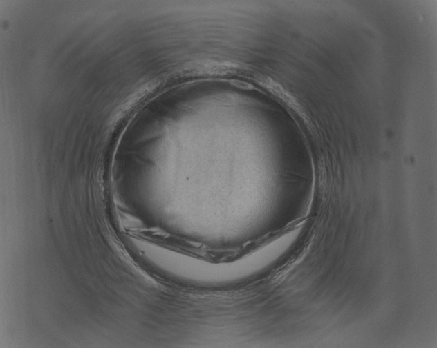 X0000073430581200608251617