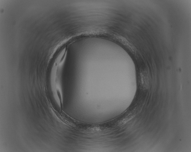 X0000073430588200608251617