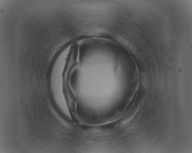 X0000073430589200608251617