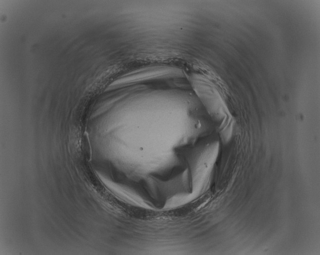 X0000073430593200608251617