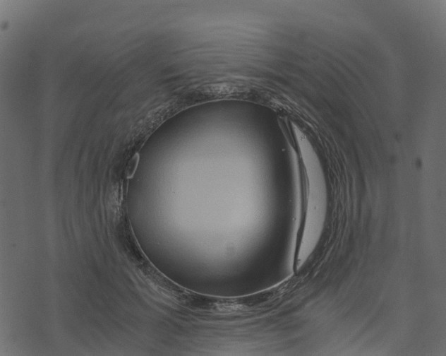 X0000073430605200608251617