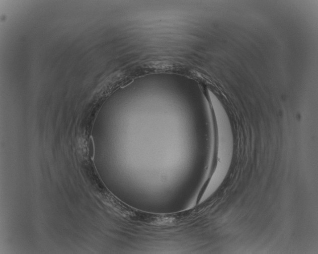 X0000073430609200608251617