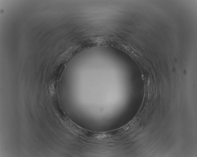 X0000073430611200608251617