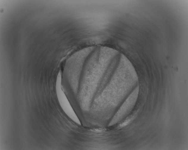 X0000073430624200608251617