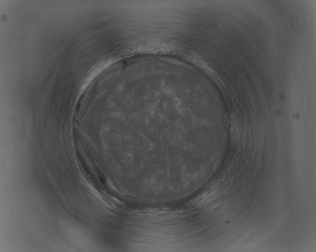 X0000073430626200608251616