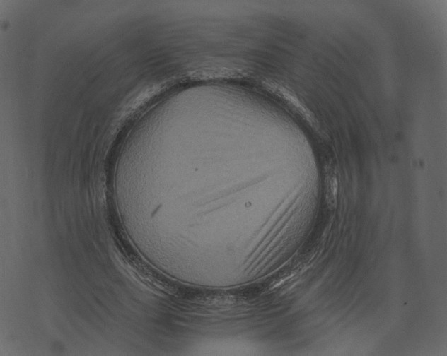 X0000073430631200608251616