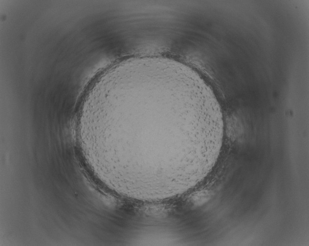 X0000073430632200608251616
