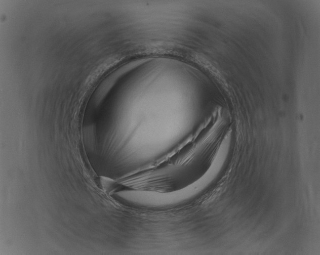 X0000073430673200608251616
