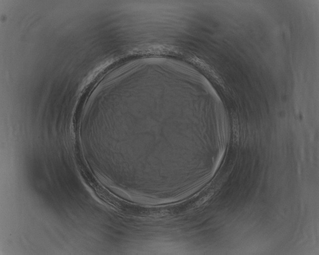 X0000073430674200608251616