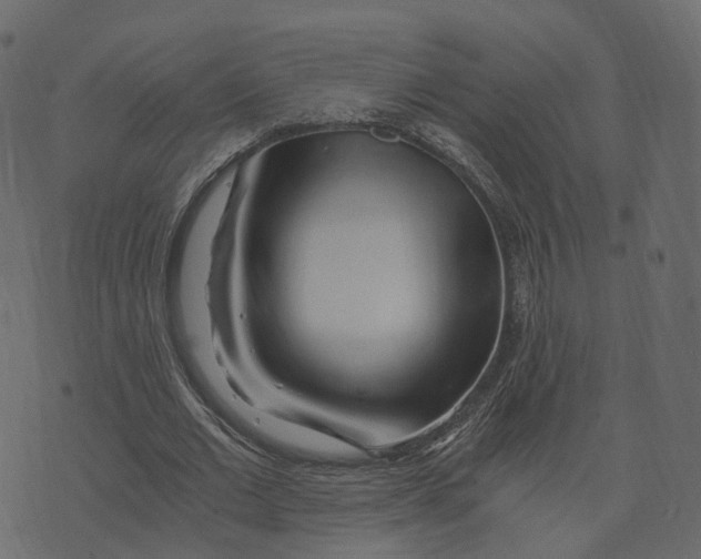X0000073430677200608251616