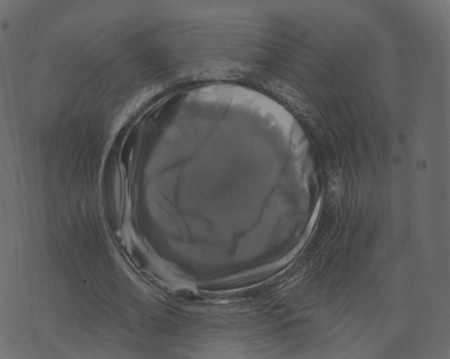 X0000073430678200608251616