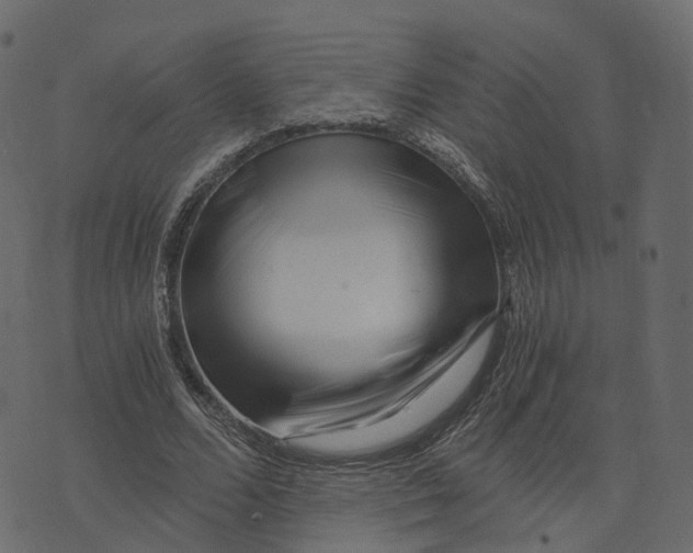 X0000073430680200608251616