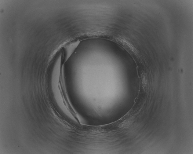 X0000073430684200608251616