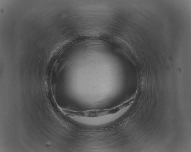 X0000073430688200608251616