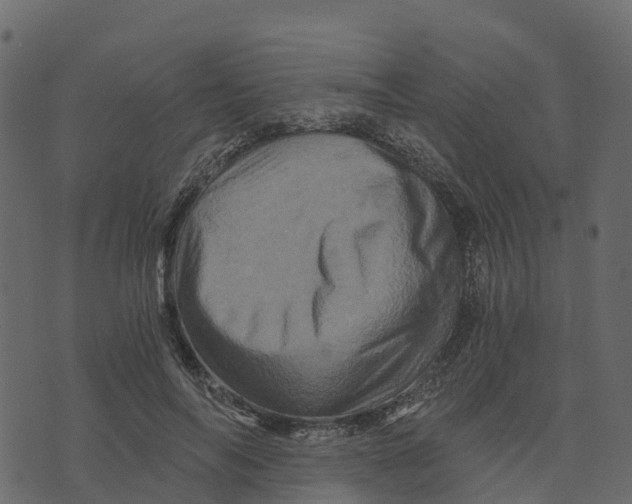 X0000073430694200608251616