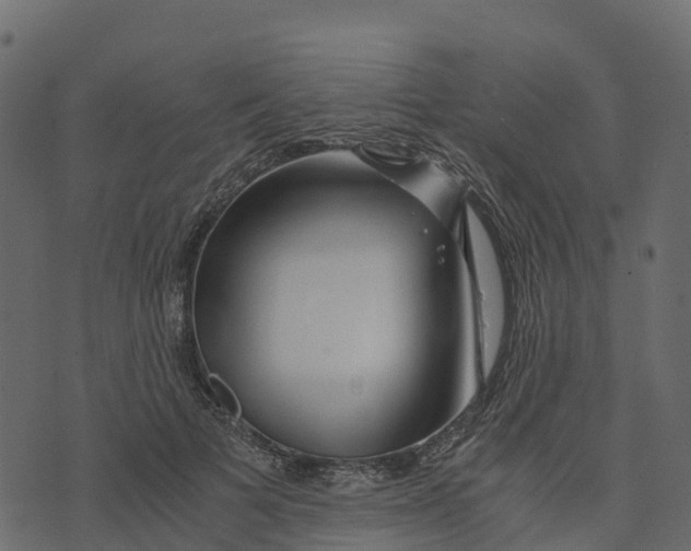 X0000073430697200608251616