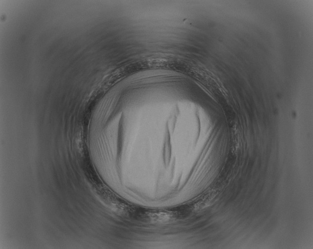 X0000073430698200608251616