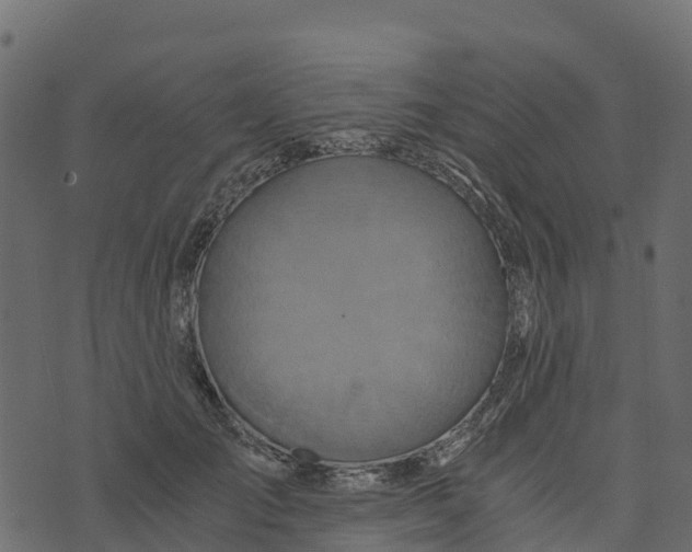 X0000073430701200608251615