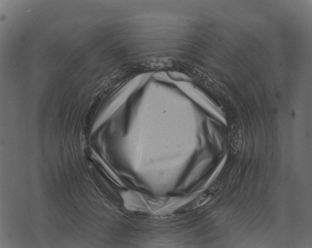 X0000073430704200608251615