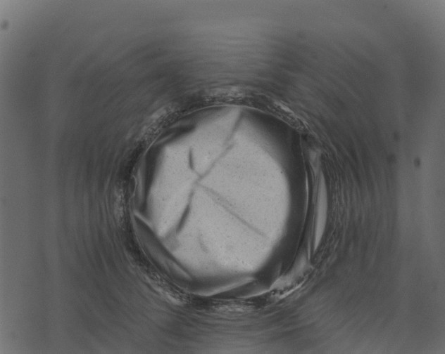 X0000073430708200608251615