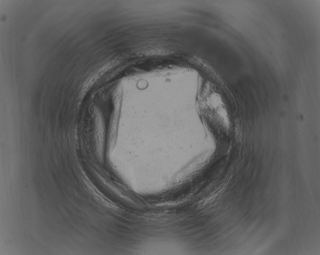 X0000073430725200608251614