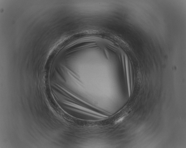 X0000073430730200608251615
