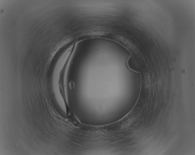X0000073430731200608251615