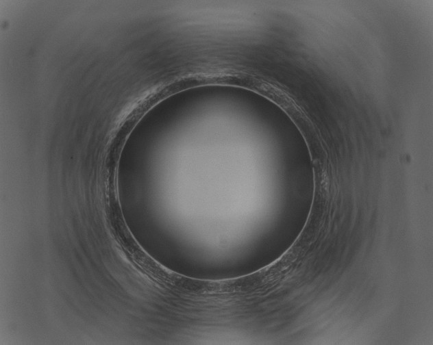 X0000073430732200608251615