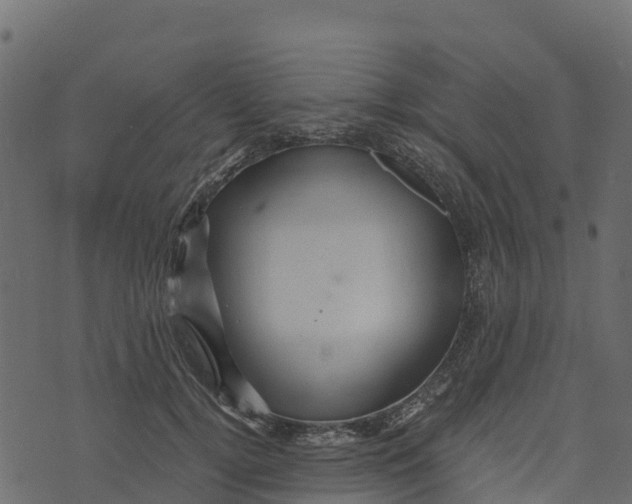 X0000073430752200608251615