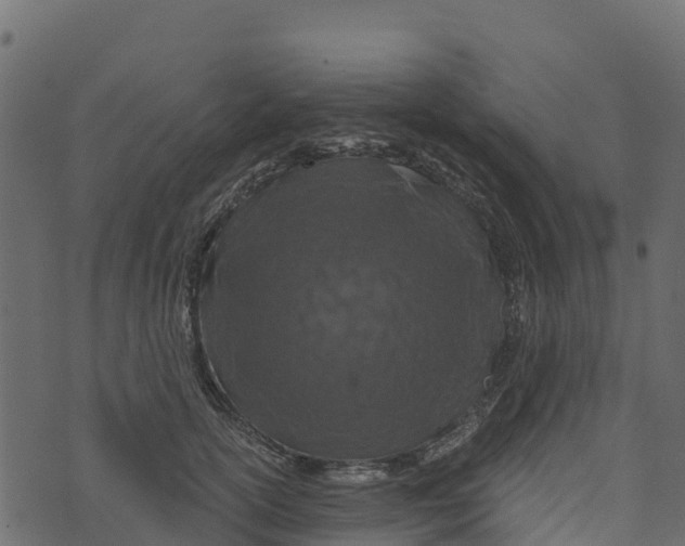 X0000073430754200608251615