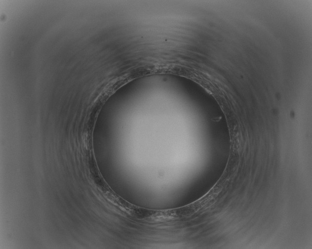 X0000073430756200608251615