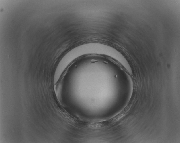 X0000073430762200608251615