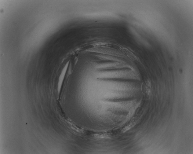 X0000073430763200608251615