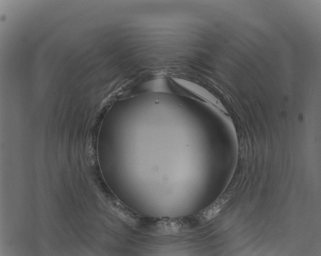 X0000073430764200608251615