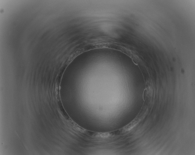 X0000073430767200608251615
