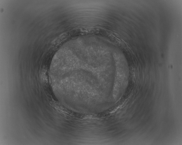 X0000073430770200608251614