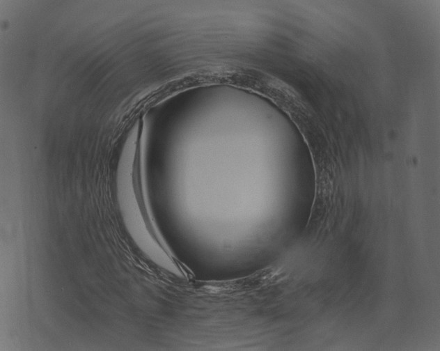 X0000073430773200608251614