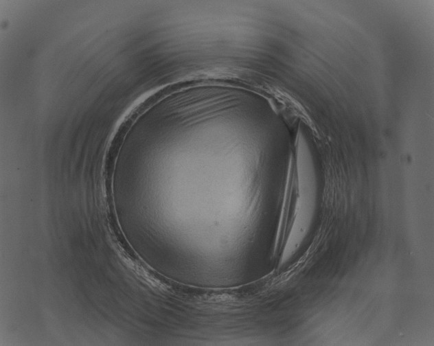 X0000073430784200608251614