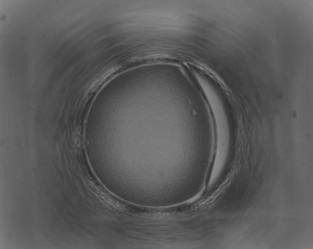 X0000073430785200608251614