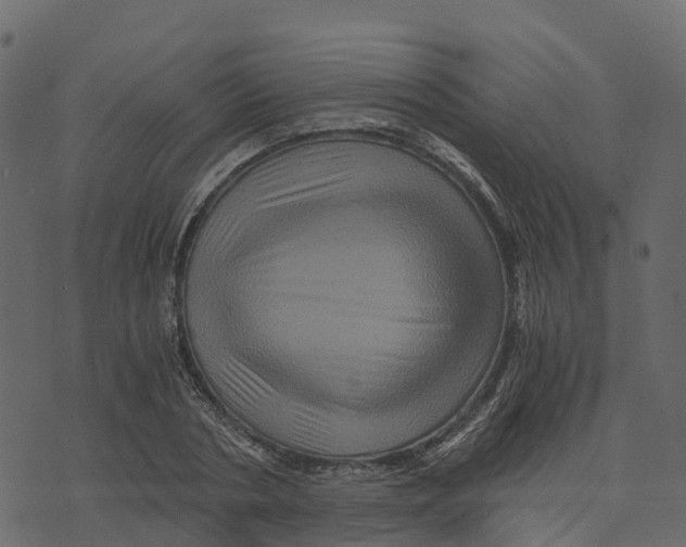 X0000073430786200608251614