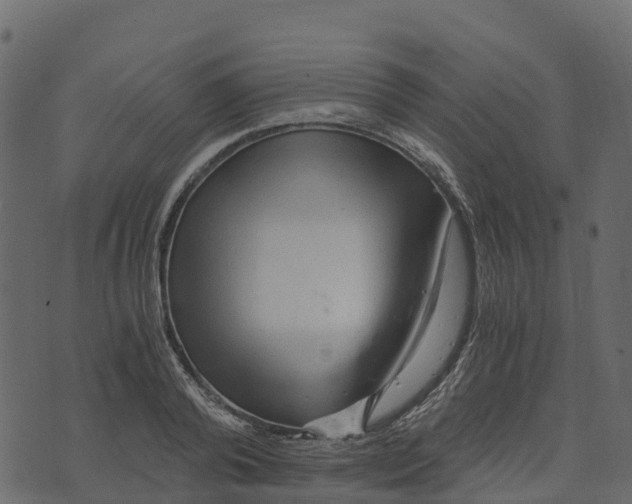 X0000073430792200608251614