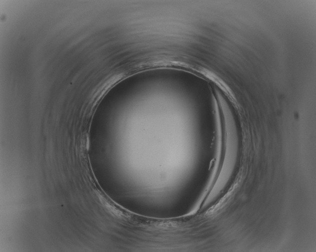 X0000073430801200608251614