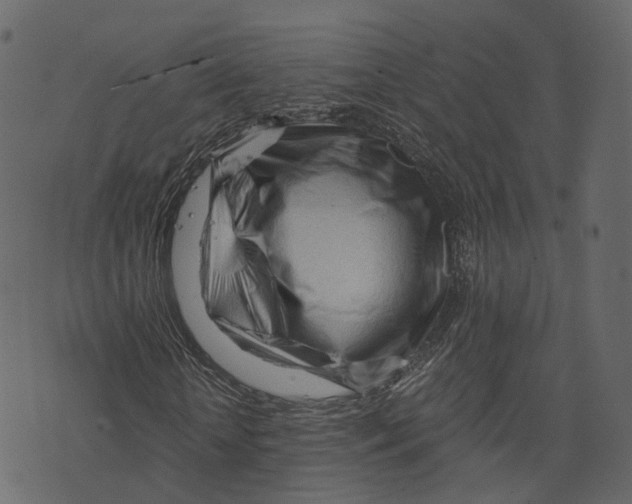 X0000073430818200608251613