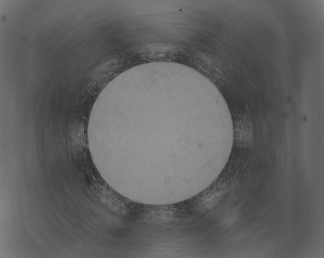 X0000073430820200608251613