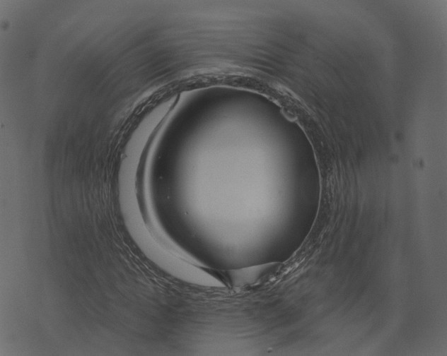 X0000073430822200608251613